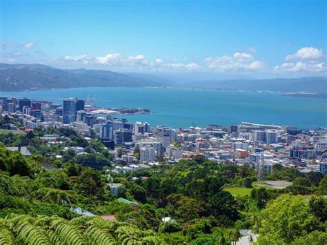 THE 10 BEST Wellington Tours for 2024 (with Prices).